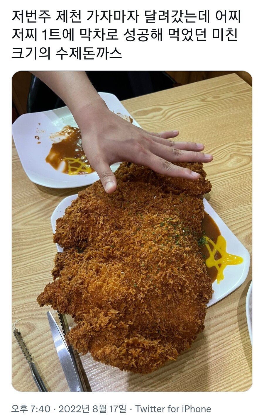 충북 제천 12000원 수제 왕돈까스