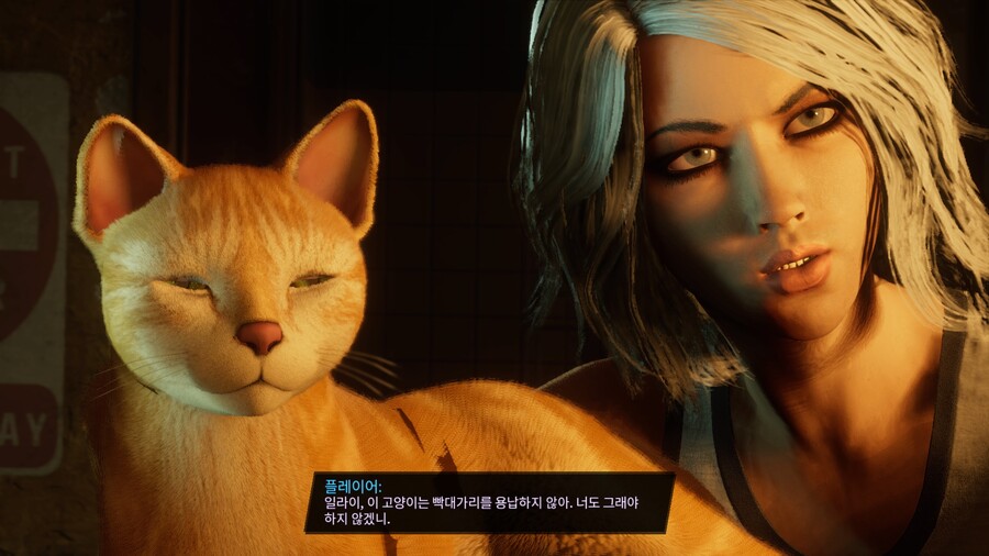 괜히 인상 쓰는 보스..._2.jpg