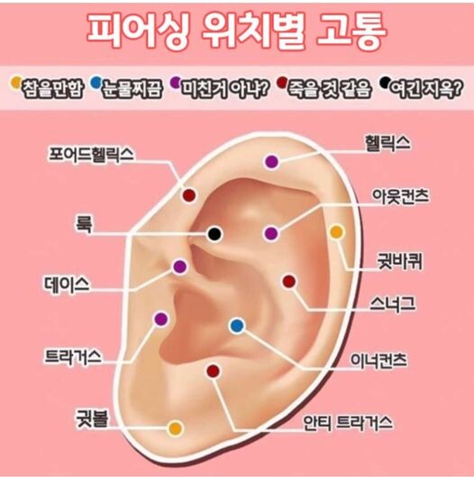 귀 피어싱 부위별 고통수준_1.jpg