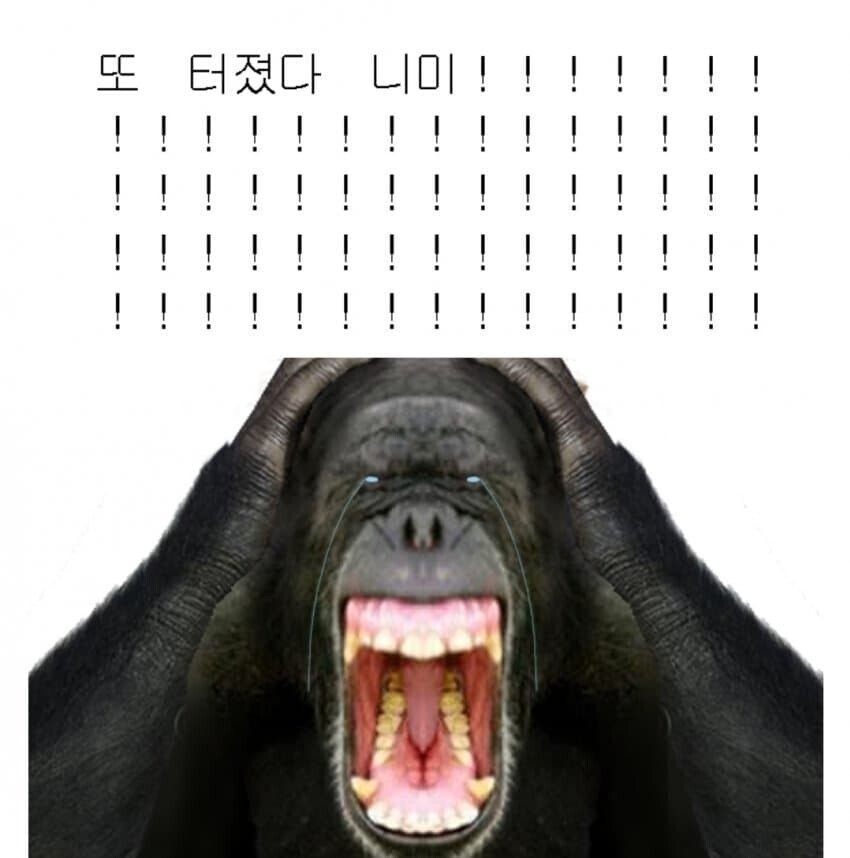 말딸)또 터졌다!!!!_2.jpg