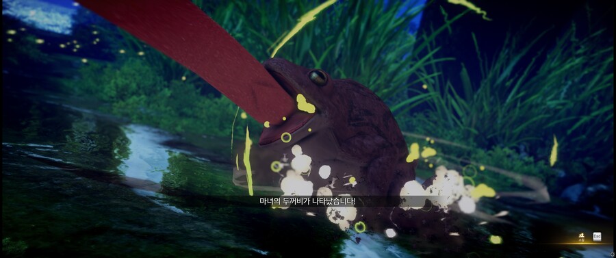로아) 모코콩 아일랜드 진짜 잘 만들었네_3.jpg