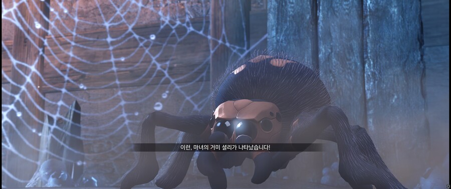 로아) 모코콩 아일랜드 진짜 잘 만들었네_4.jpg