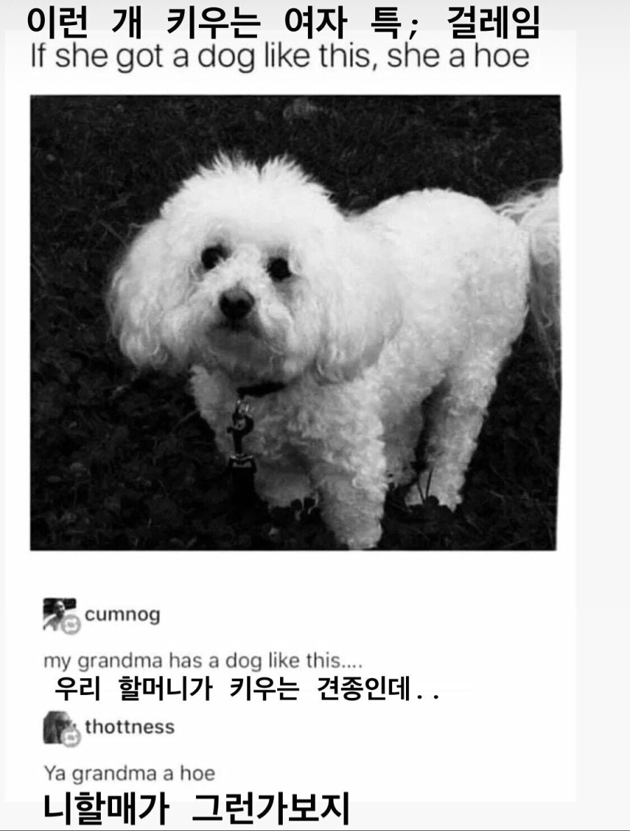 난 핸들이 고장난 8톤 트럭.jpg_1.jpeg