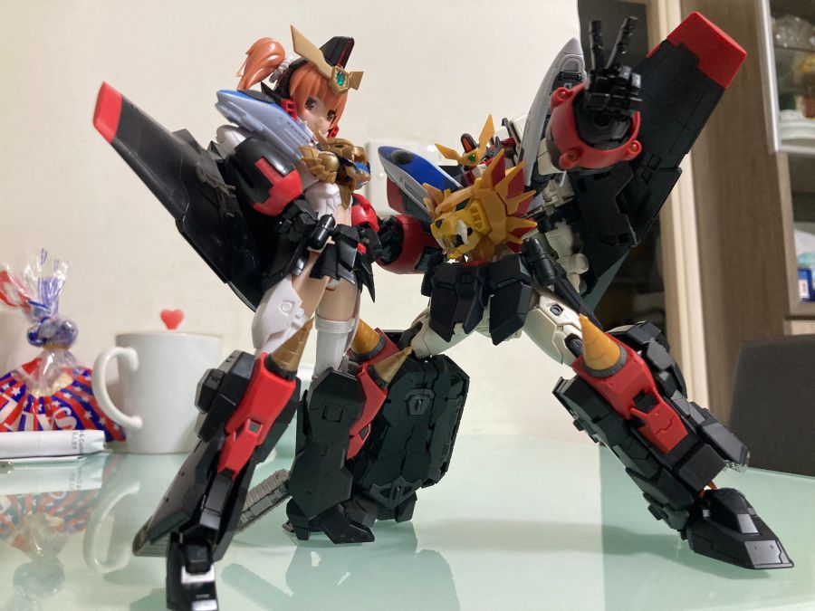 RG 가오가이가 & 프라 계열 비교 사진 (골반 이동 사진 존재)_11.jpg