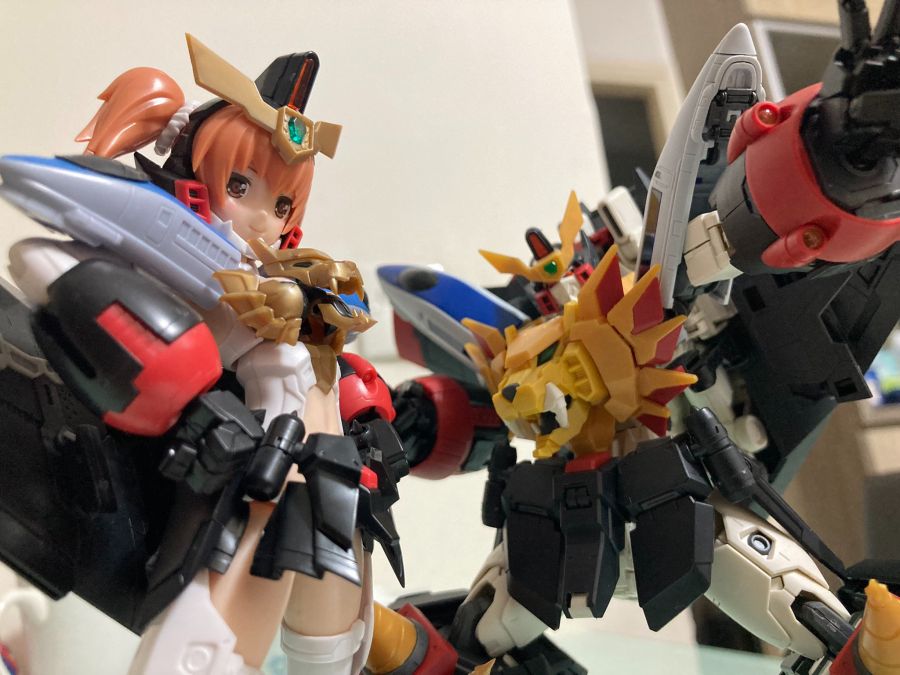 RG 가오가이가 & 프라 계열 비교 사진 (골반 이동 사진 존재)_14.jpg