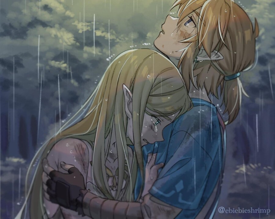 야숨) 젤다와 링크짤 대방출 (스압)_14.jpg