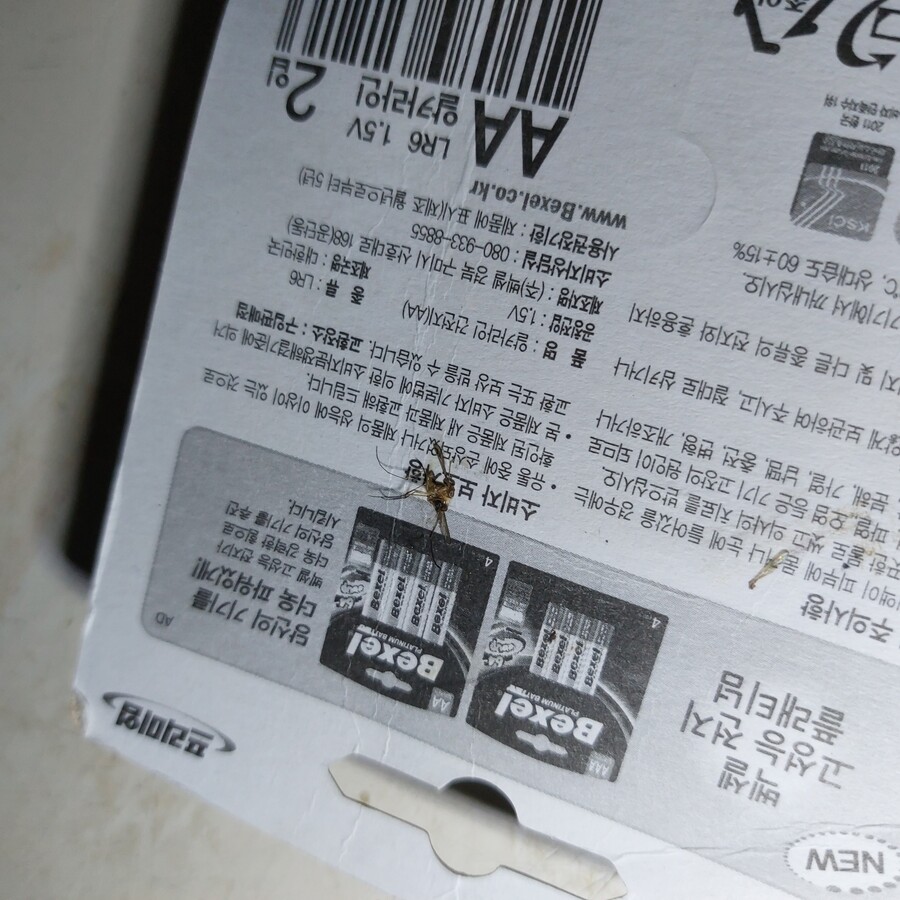 모기) 어제 오늘 잡은 모기들_3.jpg