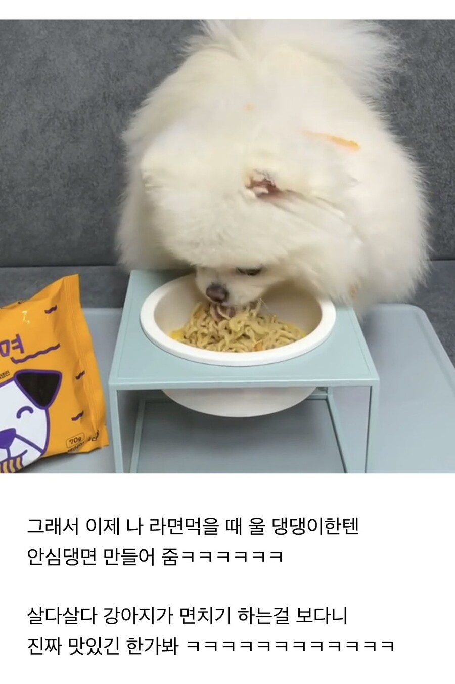 댕댕이들 전용 라면_2.jpeg