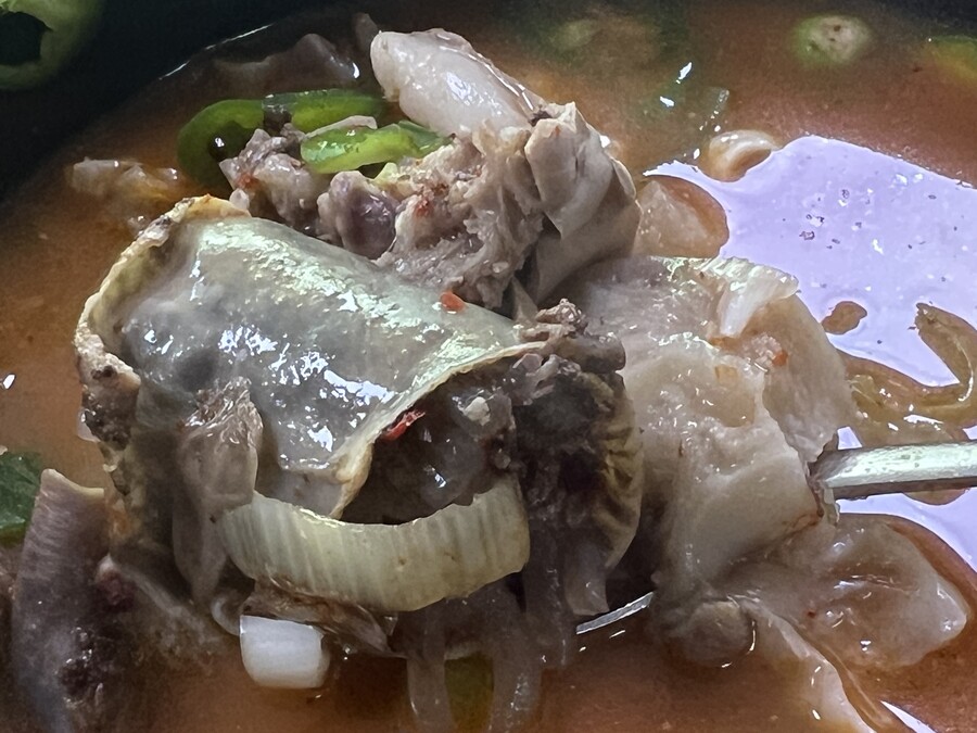 골드 순자네 순대국밥 | 음식 갤러리 골드 순자네 순대국밥 | 음식 갤러리 | 루리웹