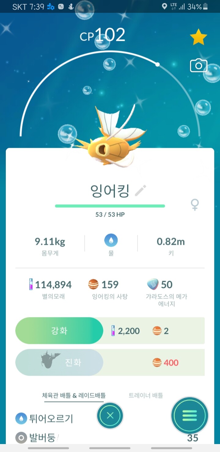 이 잉어킹 뭐하는 놈이죠?_1.jpg