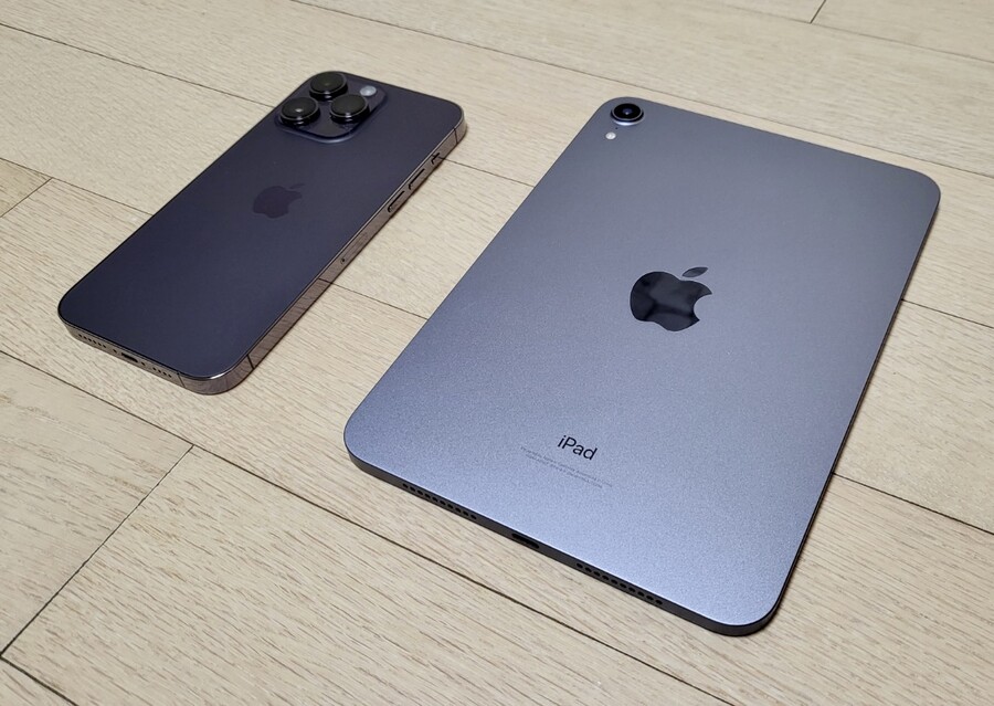 보라색맛 나는 두 녀석_1.jpg