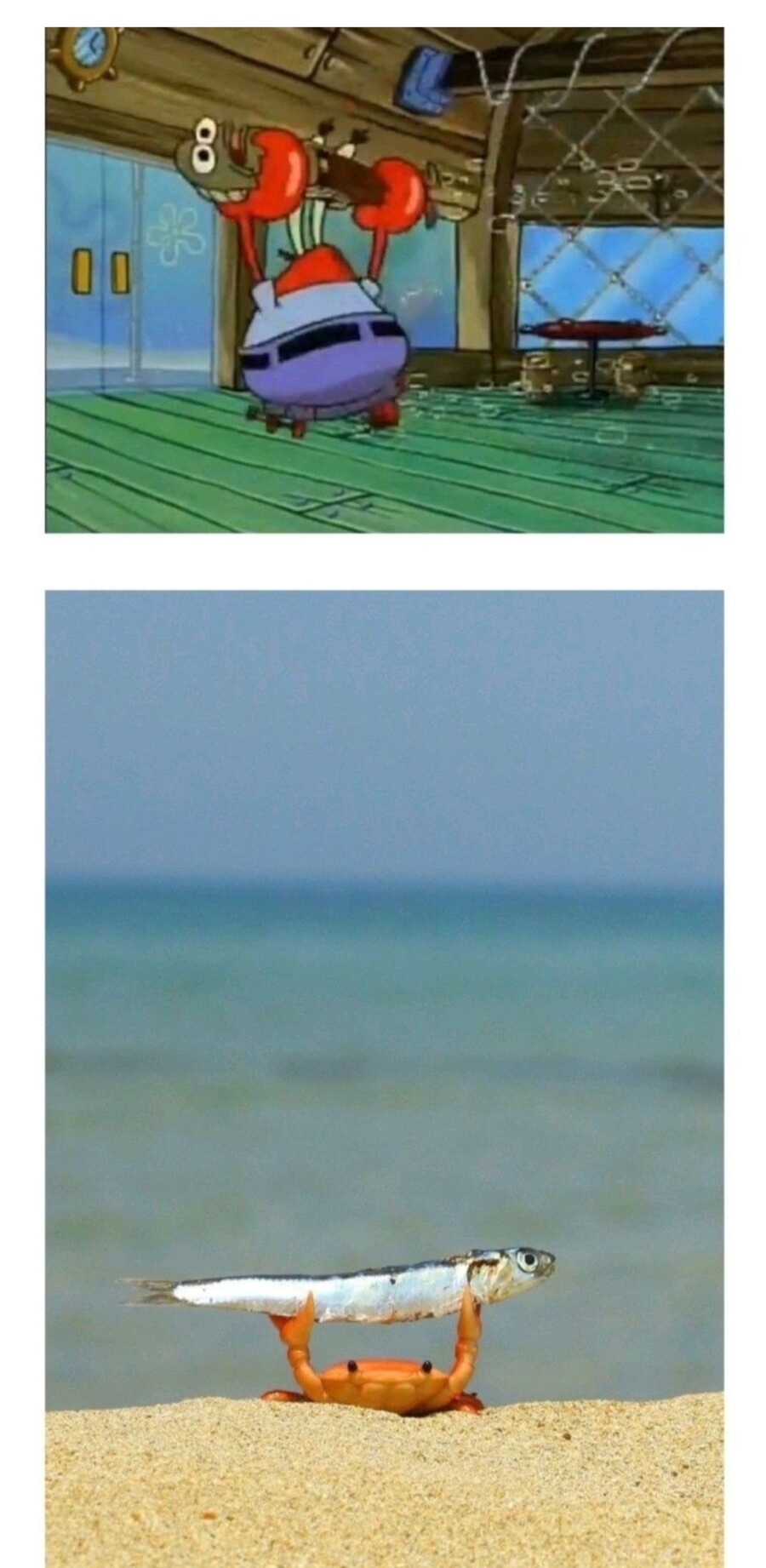 의외로 고증을 철저히 지킨 애니_2.jpg