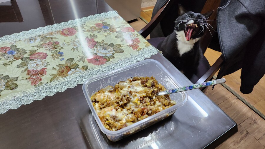 야옹이랑 먹는 야식 필라프_4.jpg