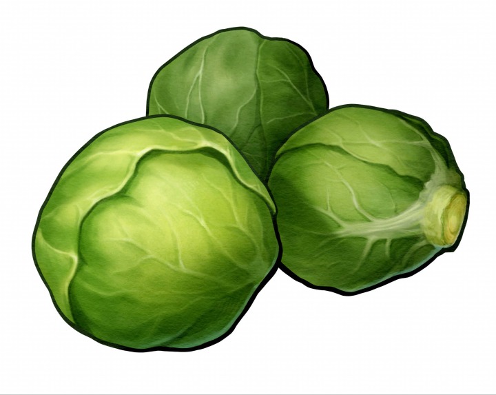 [포맷변환]Argene Cabbage.jpg