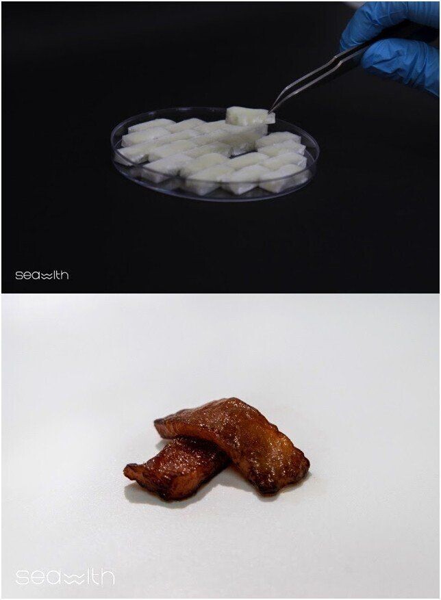 소일렌트 그린 이즈 피플!_1.jpg