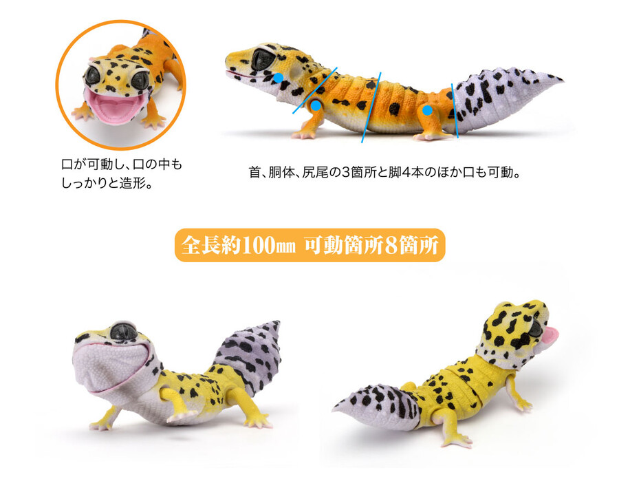 레쁘띠 이미지