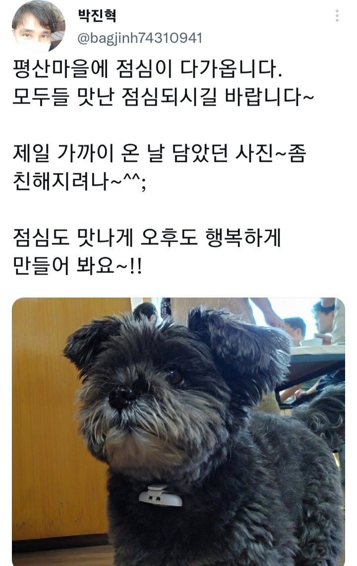 도예가가 올린 토리 새 트윗 사진 | 정치유머 게시판 도예가가 올린 토리 새 트윗 사진 | 정치유머 게시판 | 루리웹