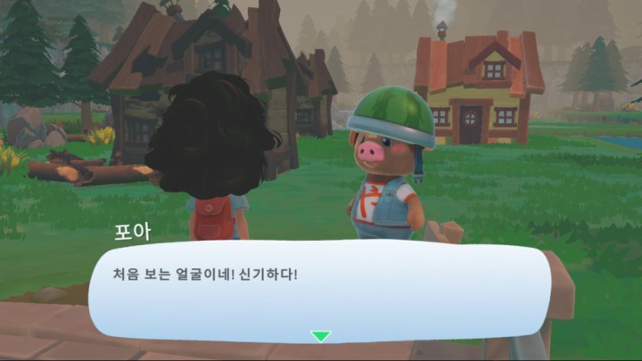 호코 이미지