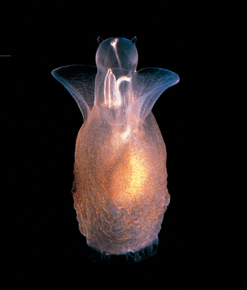 [심해] 개정판 (추가)_7.jpg