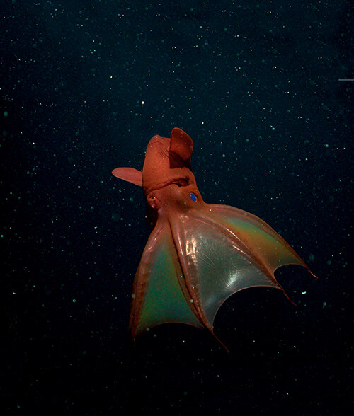 [심해] 개정판 (추가)_8.jpg