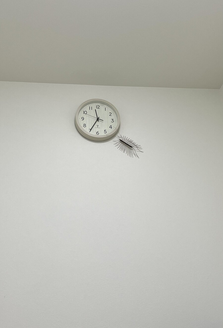 혐오)한밤중 지옥을 겪은 일본인_1.jpg