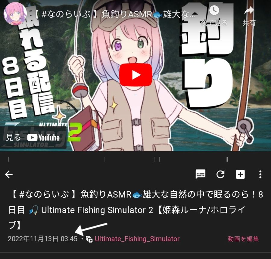 버튜버) 밤낚시의 위험성....._1.jpg