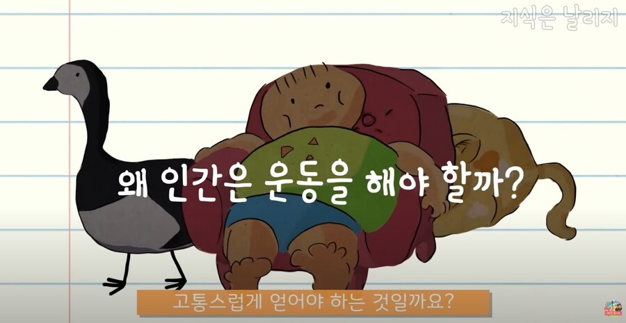 동물과 인간의 근육 차이점.JPG_10.jpg