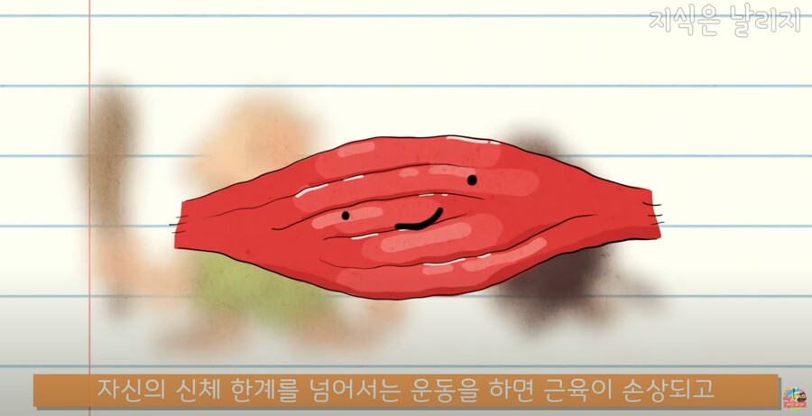 동물과 인간의 근육 차이점.JPG_18.jpg