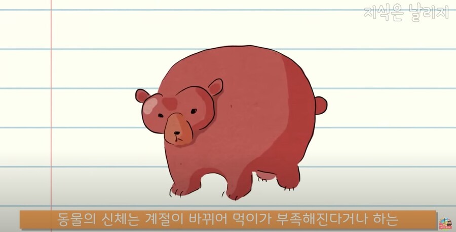 동물과 인간의 근육 차이점.JPG_23.jpg