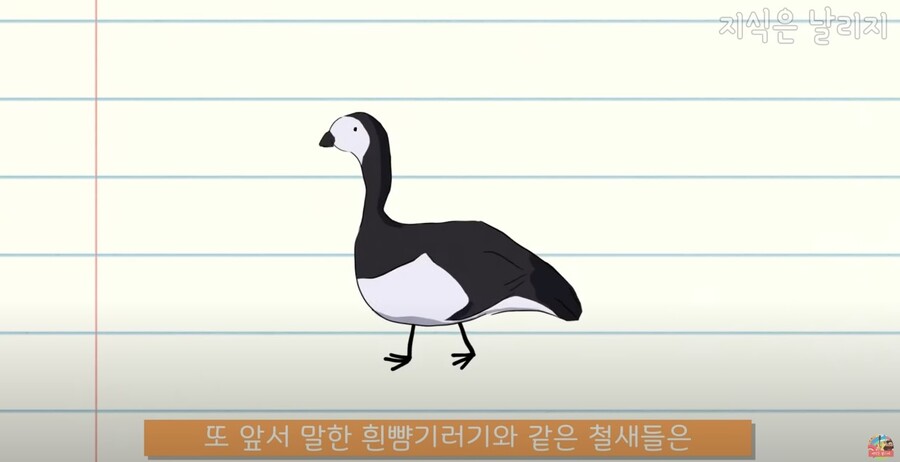 동물과 인간의 근육 차이점.JPG_35.jpg