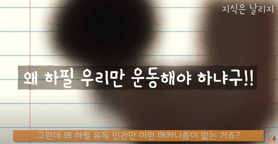 동물과 인간의 근육 차이점.JPG_41.jpg