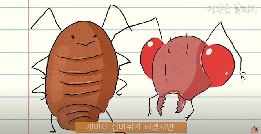 동물과 인간의 근육 차이점.JPG_50.jpg