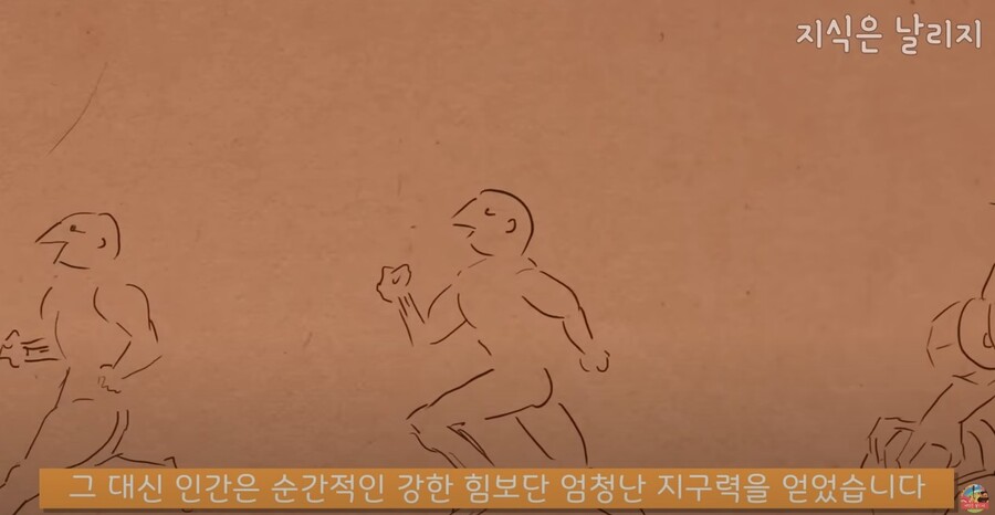 동물과 인간의 근육 차이점.JPG_74.jpg
