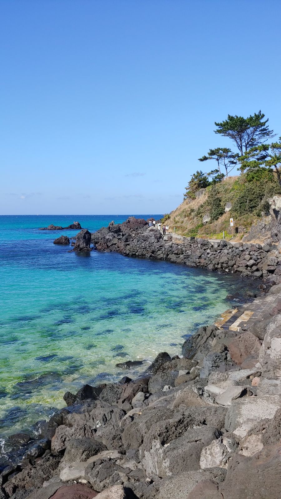 제주도 날씨 19도 실화냐