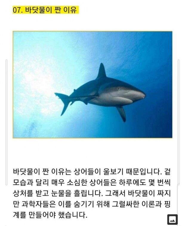 바닷물이 짠 이유_1.jpg