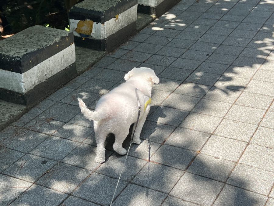 부산 사는 남자의 2022년 08월 먹부림. (※스압, 데이터)_130.jpg