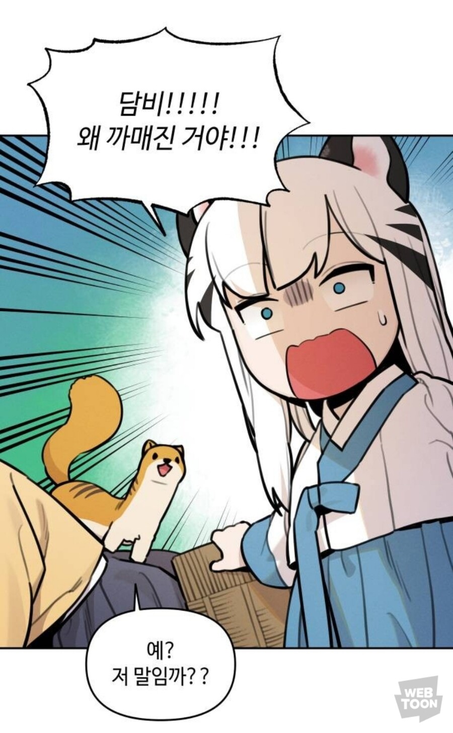 호랑이 들어와요) 야생의 수달이 나타났다!_5.jpg