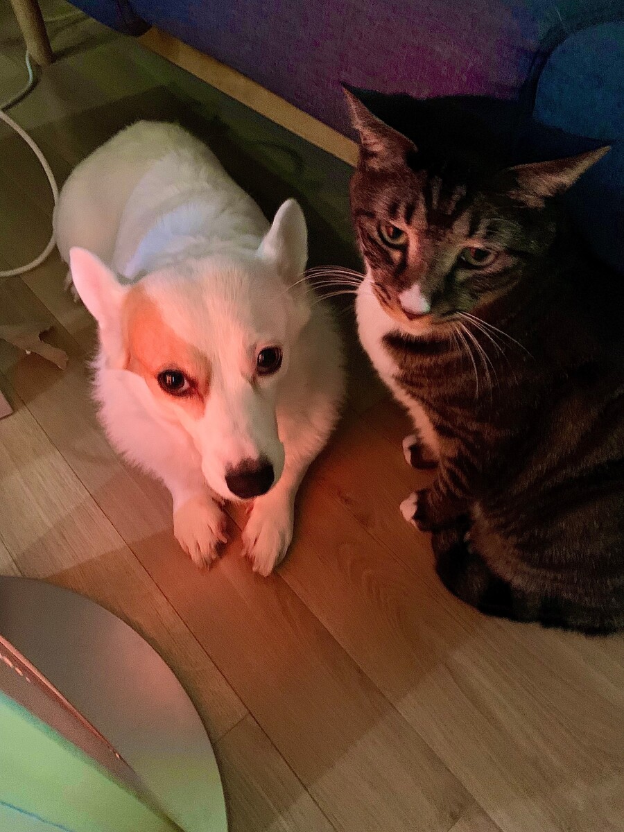 1/4 에반게리온 절대영역 피규어 제작기01._26.jpg