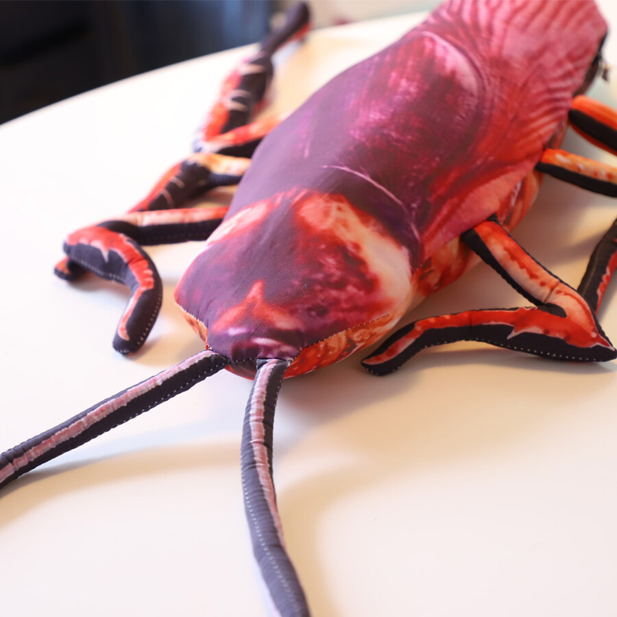 껴안는베개(다키마쿠라) 추천해 줄까?_2.jpg