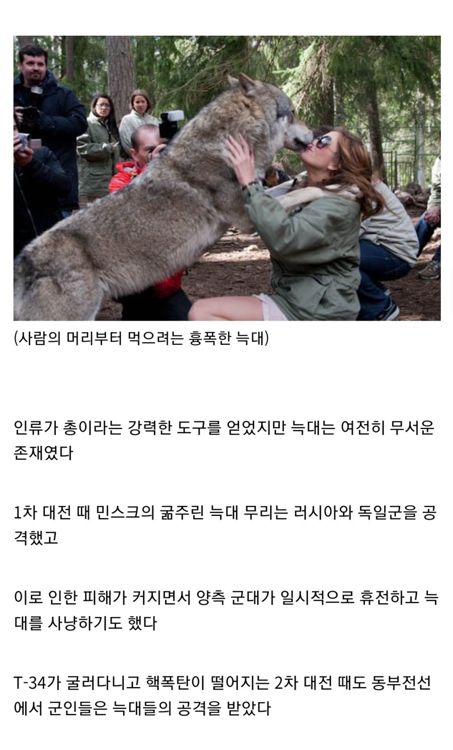 중세 유럽을 공포에 빠트린 인류의 적 "늑대"_7.jpg