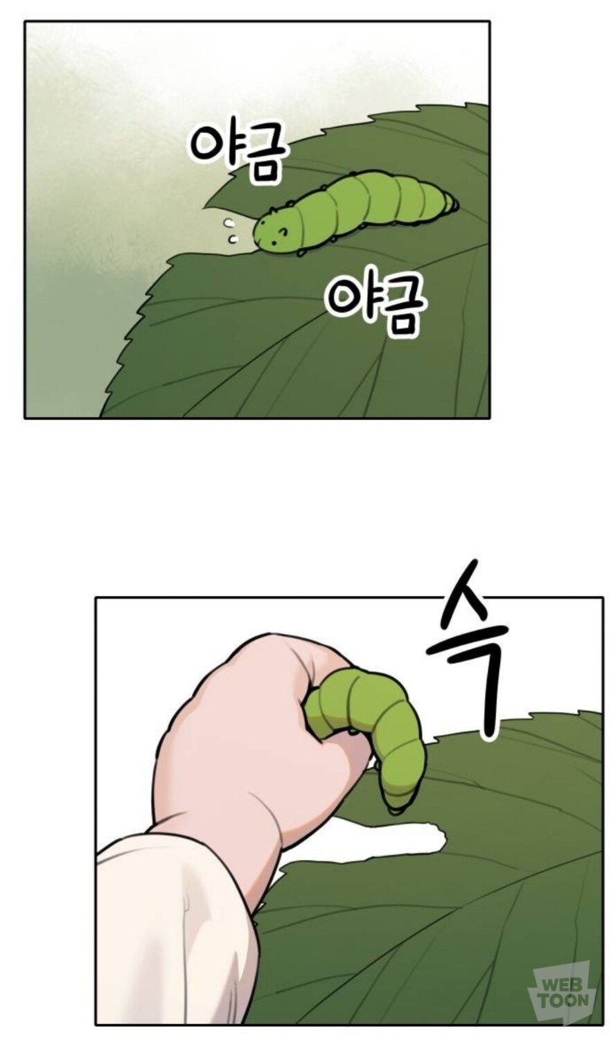 호랑이 들어와요) 까마귀가 갓마귀인 이유_1.jpg