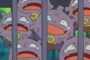 로켓단이 야생 또가스 아보크는 왜 구해줬음?_1.jpg