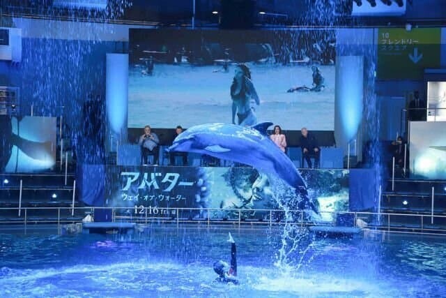 아바타2) 일본 홍보 대참사_1.jpeg