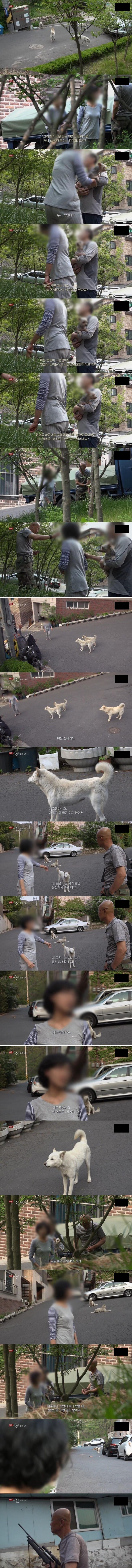 (빡침주의) 북한산 인근에 들개들이 불어났던 이유_3.jpg