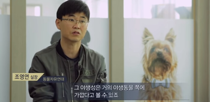 (빡침주의) 북한산 인근에 들개들이 불어났던 이유_5.png