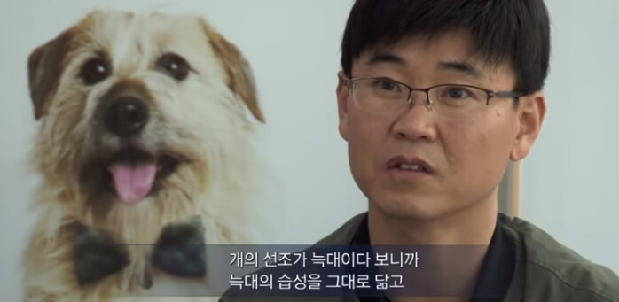 (빡침주의) 북한산 인근에 들개들이 불어났던 이유_6.png