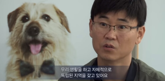 (빡침주의) 북한산 인근에 들개들이 불어났던 이유_7.png