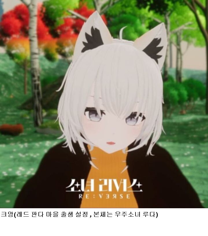 1월 공개 버츄얼 걸그룹 서바이벌 출전 캐릭터 소개(본체는 전현직 걸그룹)_14.jpg