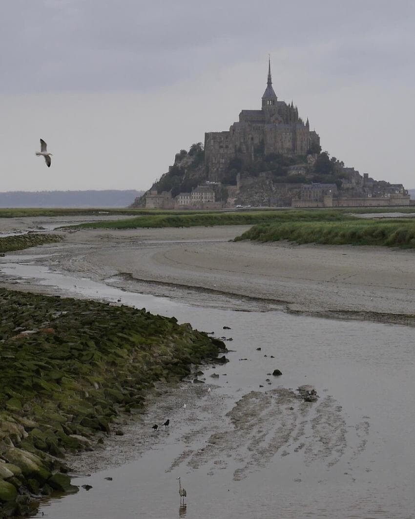위쳐 더빙 기념) 중세 후기 르네상스 초에 롱소드가 쇠퇴한 이유_1.jpg