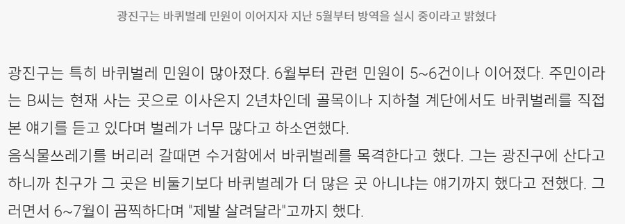 광진구 바퀴벌래 사태.JPG_2.png